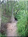 The brook from Nod Rise bridge