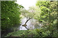 Lake at Highwell