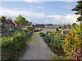 Allotments, The Pleasance