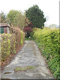 SE1228 : Footpath - Greenacres Grove by Betty Longbottom