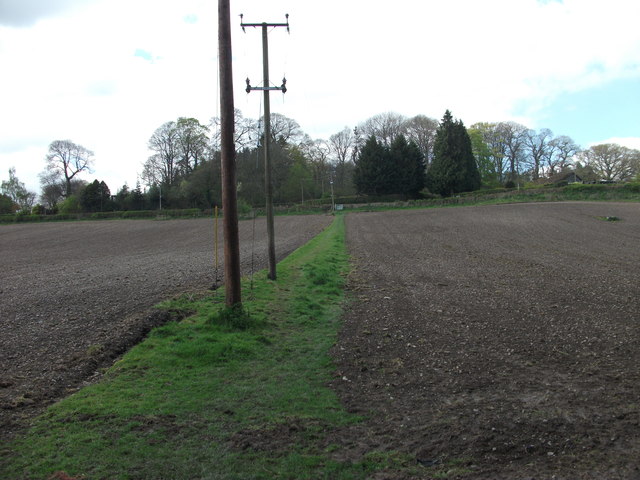 Footpath with power poles