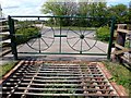 Fence and cattle grid 