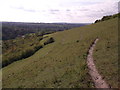 Paths on Darland Banks