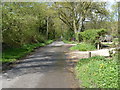 Canhouse Lane towards Rake