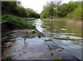 Moorings on the Chesterfield Canal 