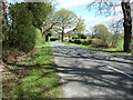 Trippetts Cottages on the corner of Rake Road