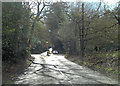 Saunders Lane junction with Blackhorse Road