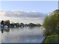 The Thames near River House Gardens, Walton