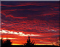 May Sunset, Garnock Valley