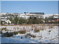 Claxby in the snow