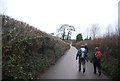 Walkers on the lane to Uploders