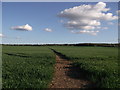 Footpath to Lidsing