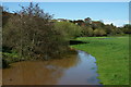 SZ6086 : River Yar, Yarbridge, Isle of Wight by Peter Trimming