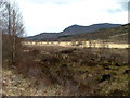 NH1909 : Doire MhÃ²r and the River Moriston by Dave Fergusson