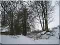 Footpath in the snow, Alkborough