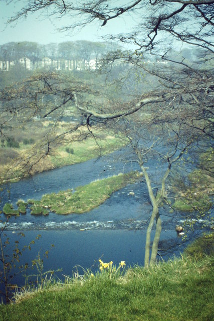 River Don Below Tillydrone