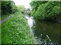 River Wandle alongside Poulter Park