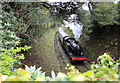 The Bodmin Steam railway