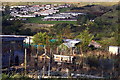 Pontlottyn Allotments