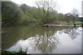 Pond on Heaton Mersey Common