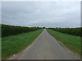 Fallow Lane heading south towards Foston