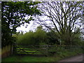 Footpath to New Road