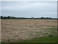 Farmland north east of Hougham