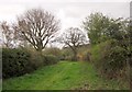 Footpath at Follifoot