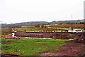 SO8273 : Fields near Oldington Bridge, near Kidderminster by P L Chadwick