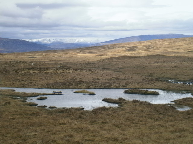 Waterlogged moorland