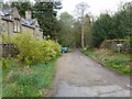 NY9463 : Driveway to Dukes House by Oliver Dixon