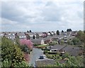 Manor Close - viewed from Rhodesway