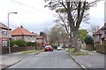 Charteris Road - viewed from Arthur Avenue