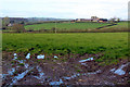 Farmland, Coppleridge, Motcombe, Dorset