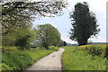 Hereford Lane in early May looking south