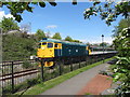 ST1167 : Barry Tourist Railway by Gareth James