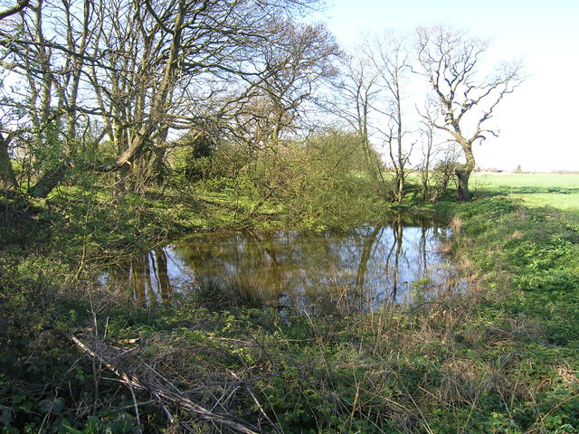 Field pond at Kenyon