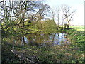 Field pond at Kenyon