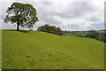 Farmland in the Arrow valley