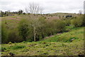 View to Disgwylfa Hill