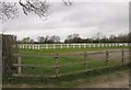 Knaresborough Rugby Club