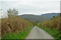 Narrow lane north-west of Beulah, Powys