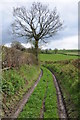 Track below Empton Farm