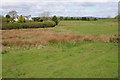 Grazing land near Great Birches Farm