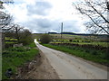 Minor road at Newsham