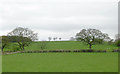 Pasture north-east of Beulah, Powys