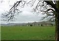 Pasture north-east of Beulah, Powys