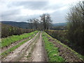 Lane back towards Corwen