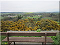 A seat with a view near New Ridley