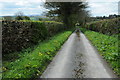 Country road to The Dingle